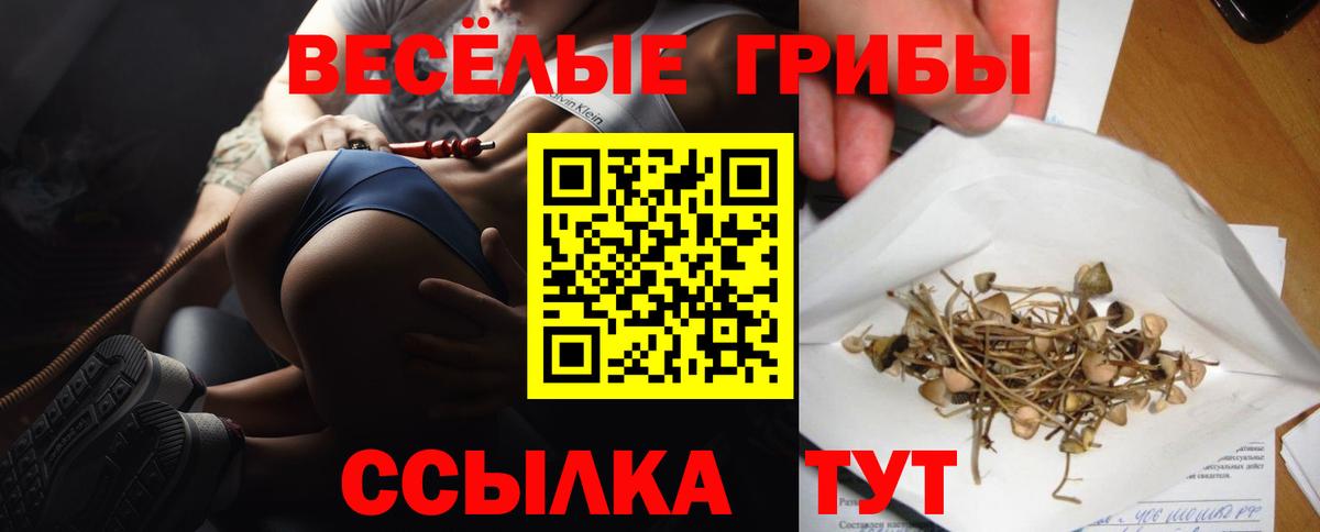 Галлюциногенные грибы Cubensis  купить закладку  Кузнецк  Вход с VPN  Псилоцибиновые грибы Psilocybine cubensis 