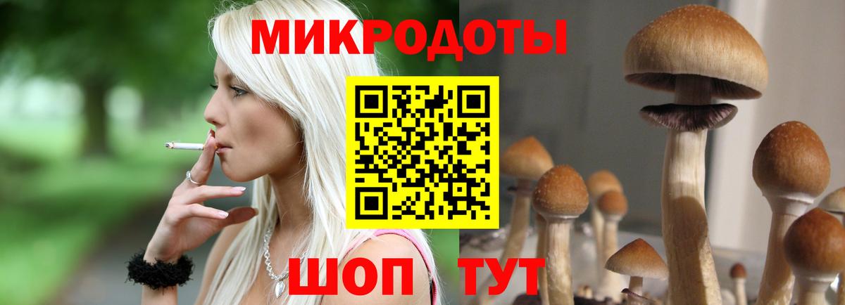 Галлюциногенные грибы мухоморы Кузнецк